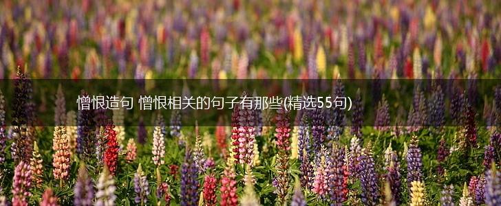 憎恨造句 憎恨相关的句子有那些(精选55句),第1张