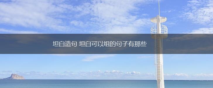 坦白造句 坦白可以组的句子有那些,第1张