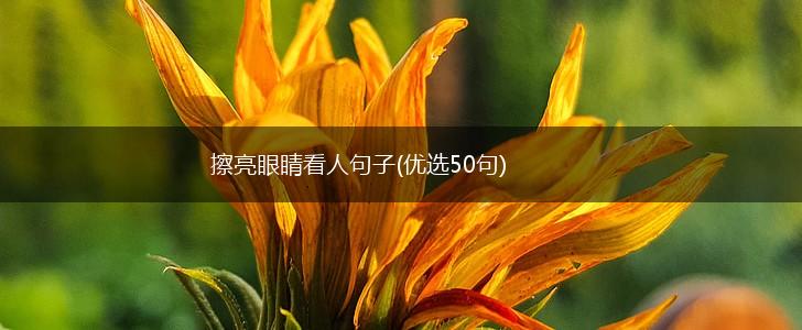 擦亮眼睛看人句子(优选50句),第1张