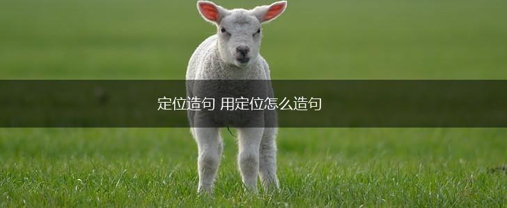 定位造句 用定位怎么造句,第1张
