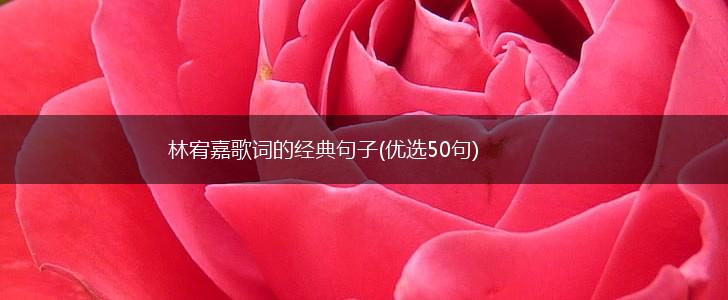 林宥嘉歌词的经典句子(优选50句),第1张