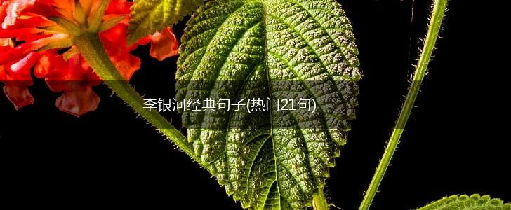 李银河经典句子(热门21句),第1张