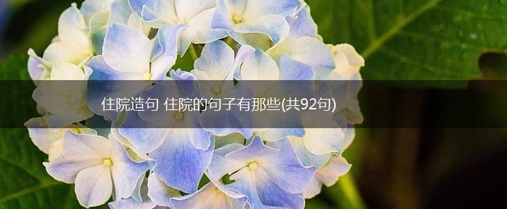 住院造句 住院的句子有那些(共92句),第1张