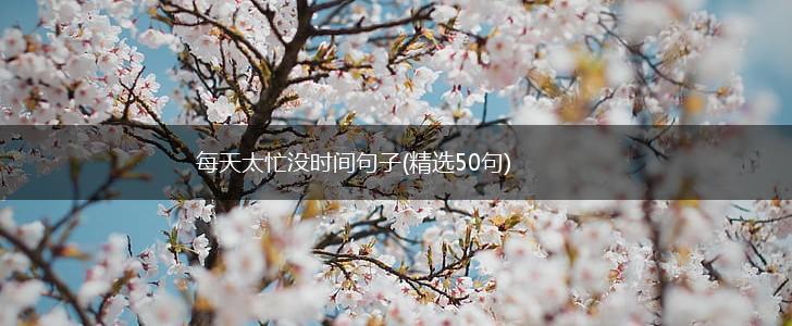 每天太忙没时间句子(精选50句),第1张