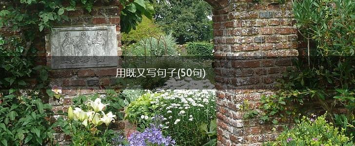 用既又写句子(50句),第1张