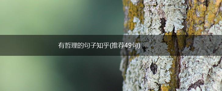 有哲理的句子知乎(推荐49句),第1张