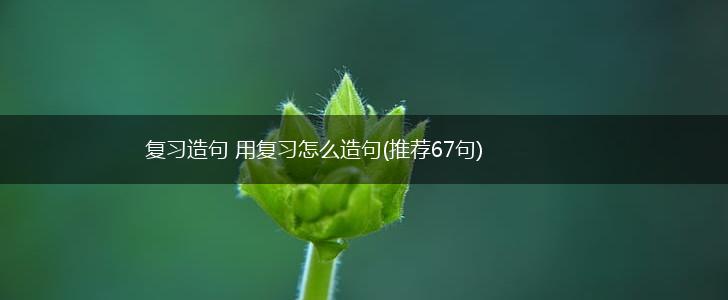 复习造句 用复习怎么造句(推荐67句),第1张