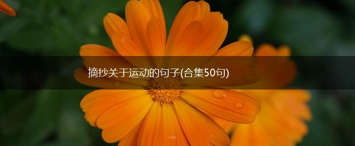 摘抄关于运动的句子(合集50句),第1张