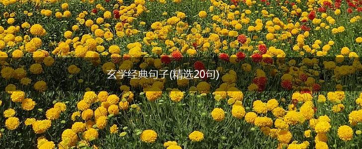 玄学经典句子(精选20句),第1张