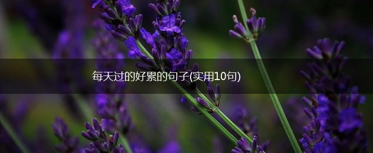 每天过的好累的句子(实用10句),第1张