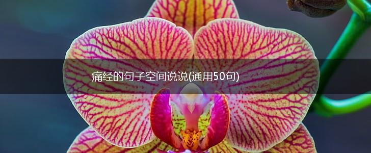 痛经的句子空间说说(通用50句),第1张