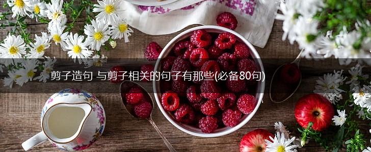 剪子造句 与剪子相关的句子有那些(必备80句),第1张