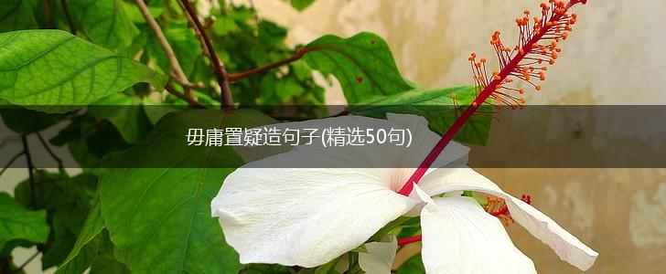 毋庸置疑造句子(精选50句),第1张