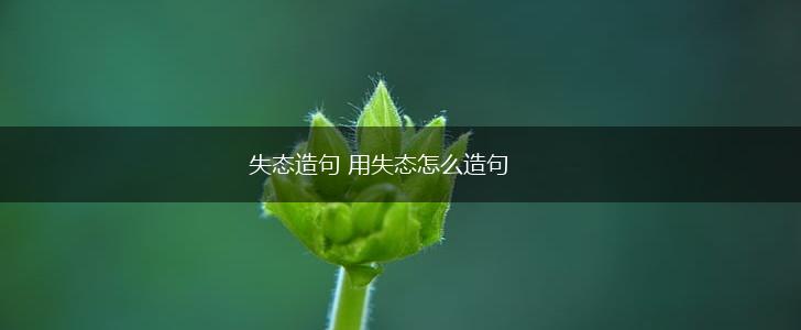 失态造句 用失态怎么造句,第1张