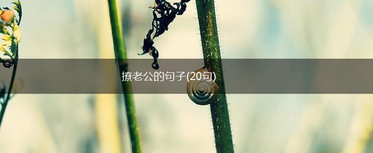 撩老公的句子(20句),第1张