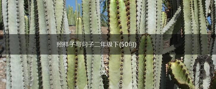 照样子写句子二年级下(50句),第1张