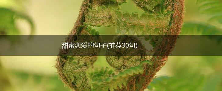 甜蜜恋爱的句子(推荐30句),第1张