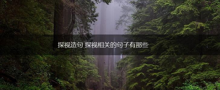 探视造句 探视相关的句子有那些,第1张
