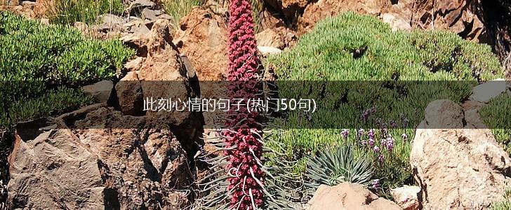 此刻心情的句子(热门50句),第1张