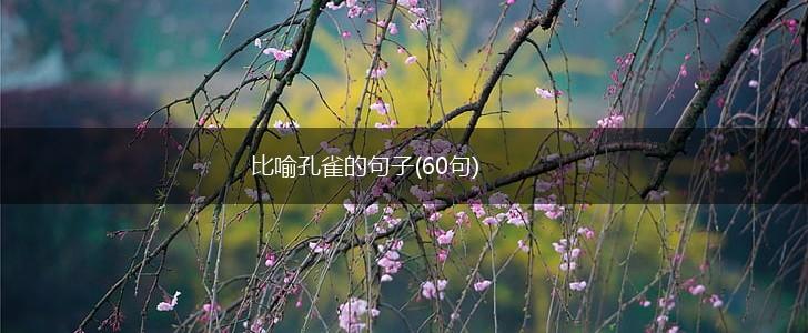 比喻孔雀的句子(60句),第1张