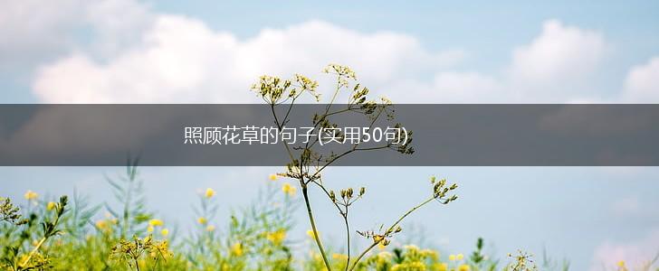 照顾花草的句子(实用50句),第1张