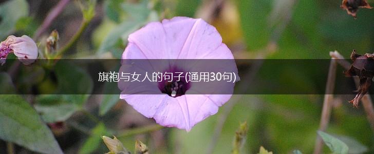 旗袍与女人的句子(通用30句),第1张