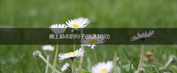 晚上励志的句子(优选50句),第1张