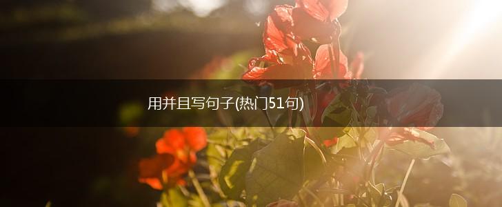 用并且写句子(热门51句),第1张