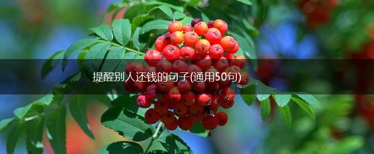提醒别人还钱的句子(通用50句),第1张