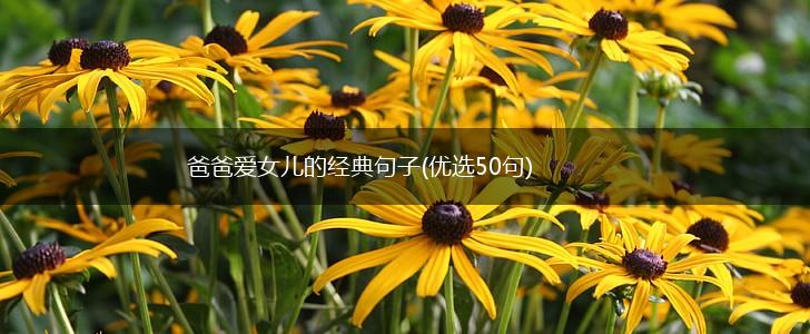 爸爸爱女儿的经典句子(优选50句),第1张