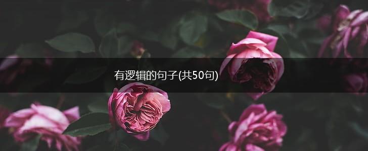 有逻辑的句子(共50句),第1张