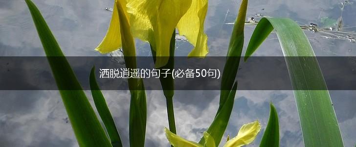 洒脱逍遥的句子(必备50句),第1张