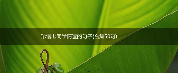 珍惜老同学情谊的句子(合集50句),第1张
