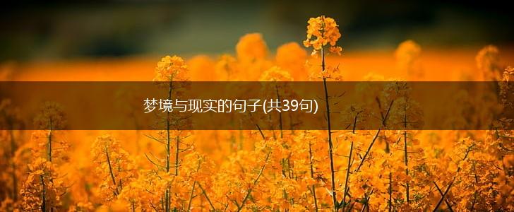 梦境与现实的句子(共39句),第1张