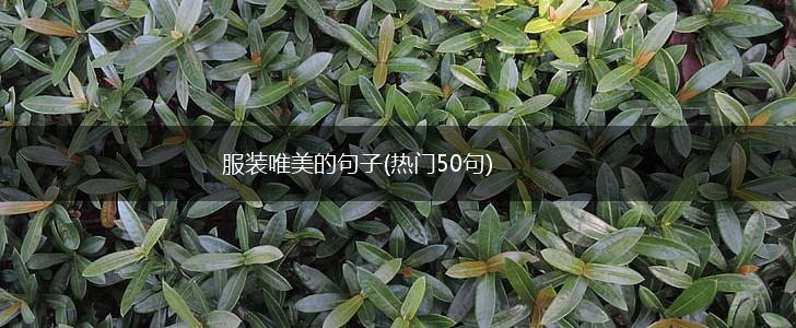 服装唯美的句子(热门50句),第1张