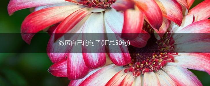激厉自己的句子(汇总50句),第1张