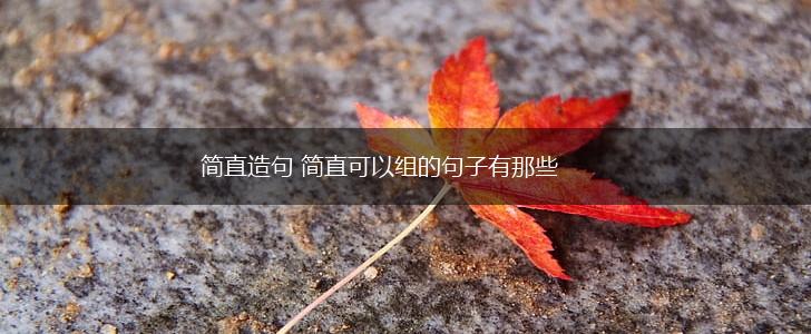 简直造句 简直可以组的句子有那些,第1张