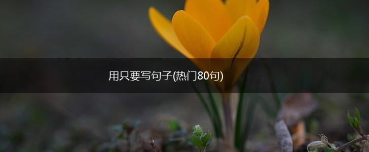 用只要写句子(热门80句),第1张