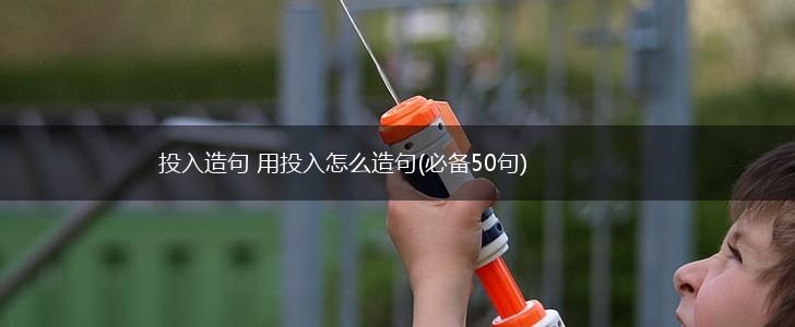 投入造句 用投入怎么造句(必备50句),第1张
