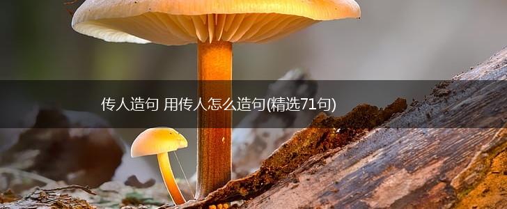 传人造句 用传人怎么造句(精选71句),第1张