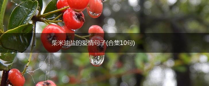 柴米油盐的爱情句子(合集10句),第1张