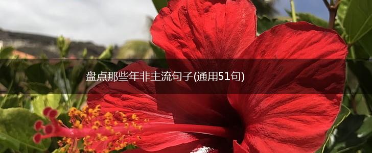 盘点那些年非主流句子(通用51句),第1张