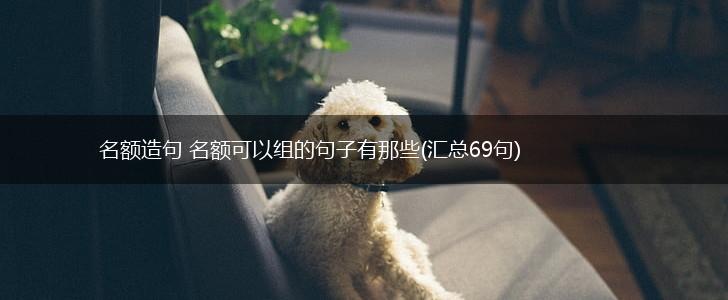 名额造句 名额可以组的句子有那些(汇总69句),第1张
