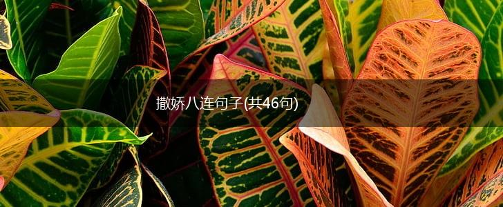 撒娇八连句子(共46句),第1张