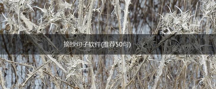 摘抄句子软件(推荐50句),第1张