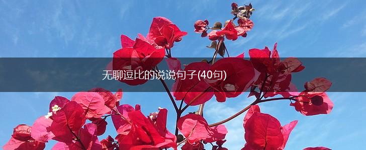 无聊逗比的说说句子(40句),第1张