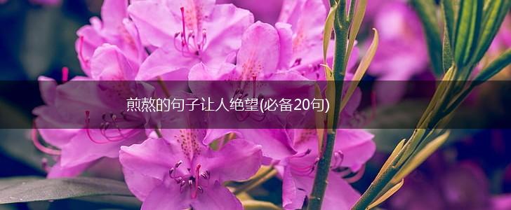 煎熬的句子让人绝望(必备20句),第1张
