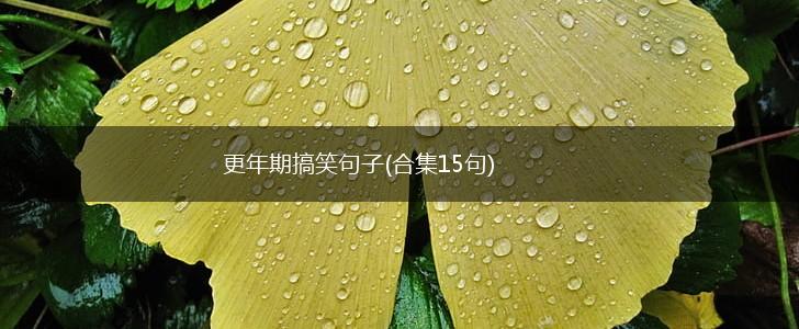 更年期搞笑句子(合集15句),第1张