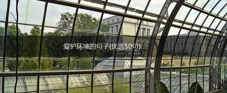 爱护环境的句子(优选50句),第1张
