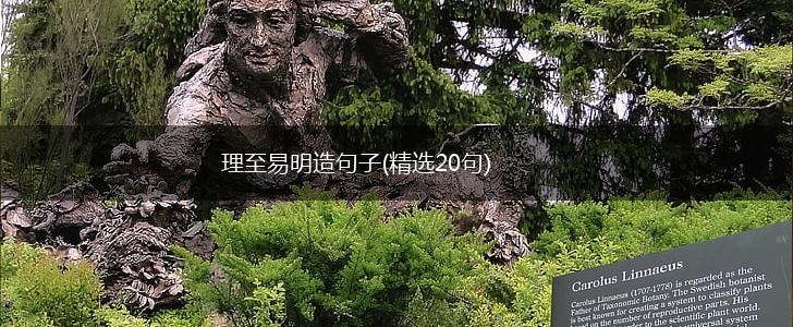 理至易明造句子(精选20句),第1张